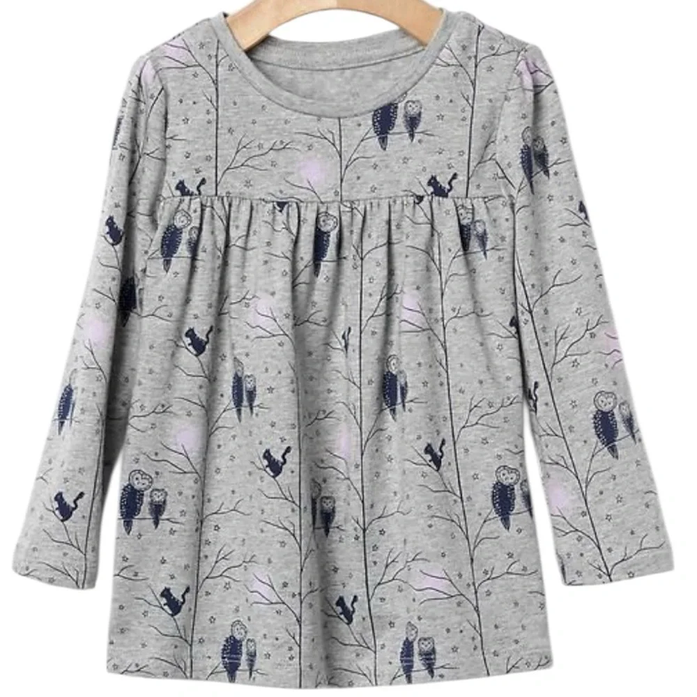 BabyGap Toddler 3 Years Long Sleeve Owl Woodland Animal Nature Boho Print Dress